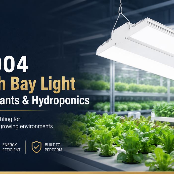 MH5004 LED linear high bay light providing supplemental illumination above an indoor hydroponic growing area