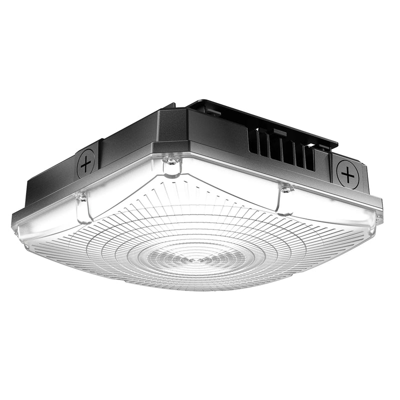 LED CANOPY LIGHT  LC1005