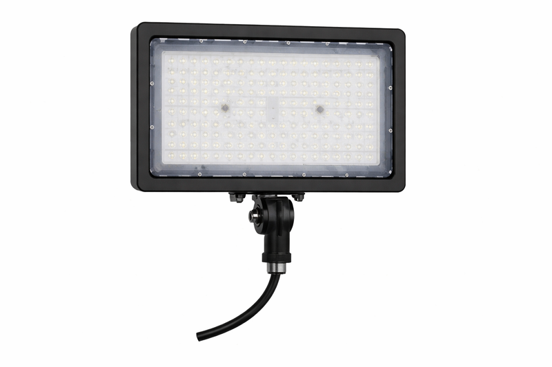 LED Flood Light FL1013
