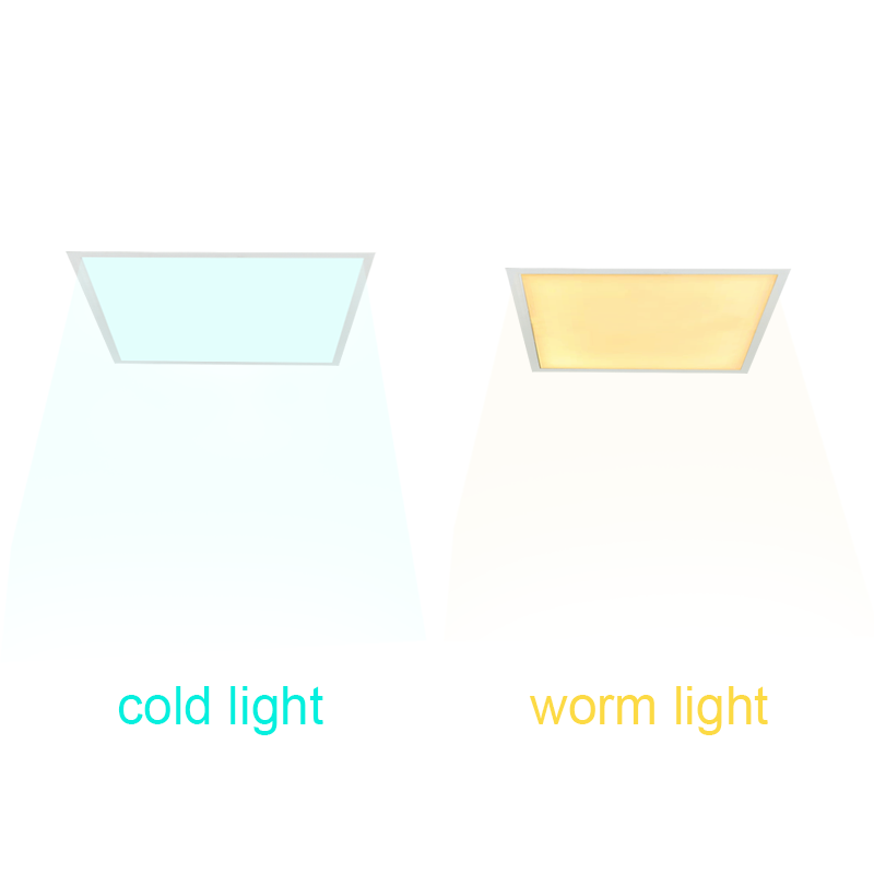 LED Backlit Panel Light PL5006